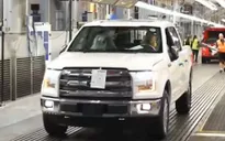Hãng Ford thu hồi hơn 300.000 xe do lỗi đèn