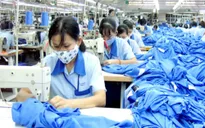 Nhà đầu tư săn cổ phiếu ảnh hưởng từ FTA