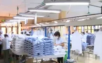 FTA Việt Nam - Liên minh kinh tế Á - Âu: Cơ hội mới cho Việt Nam