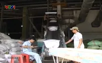 Việt Nam thắng thầu cung cấp 150.000 tấn gạo cho Philippines