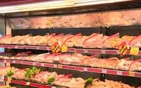 Giá gà công nghiệp Việt Nam tăng trở lại