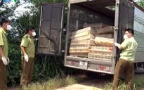 Quảng Ninh: Tiêu huỷ gần 16.000 gà con giống nhập lậu