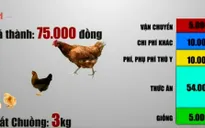 DN chăn nuôi, chế biến thua trên "sân nhà" vì gà ngoại giá rẻ