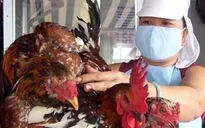 Bỏ hàng loạt phí, lệ phí thú y