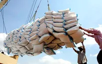 Xuất khẩu gạo sang châu Phi, Tây Á tăng mạnh