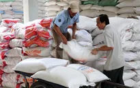 Cấp thiết xây dựng thương hiệu gạo Quốc gia Việt Nam