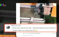 Thực hư dây chuyền sản xuất “gạo nhựa” trên Internet