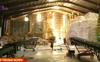 Giá gạo Việt Nam đang rẻ nhất thế giới
