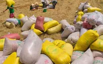 Kiểm tra tình hình tạm trữ gạo ở ĐBSCL
