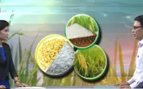 Xây dựng thương hiệu gạo Việt Nam - Bắt đầu từ đâu?