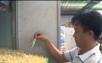 Máy làm giá sạch tự động