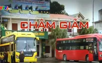 Giảm giá cước vận tải: Doanh nghiệp đang “câu giờ”?