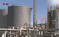 OPEC dự báo giá dầu duy trì ở mức thấp