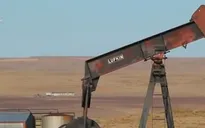 Giá dầu đầu tháng 9 biến động mạnh nhất trong 24 năm