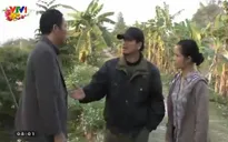 Gia phả của đất: Thể hiện hướng đi mới của phim về đề tài nông thôn
