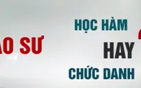 Trường đại học cần gì từ các Giáo sư, Phó Giáo sư?