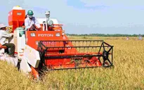 Thành tựu xóa đói giảm nghèo của Việt Nam