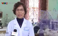 Những đóng góp của người phụ nữ nhận giải thưởng Kovalevskaia
