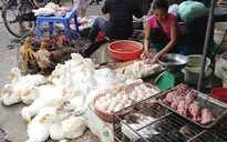 Sóc Trăng: Tràn lan mua bán gia cầm sống chưa qua kiểm dịch