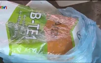 Bất cập trong việc hỗ trợ thóc giống cho hộ nghèo ở Bắc Giang