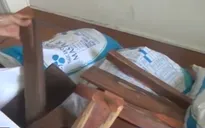 Đồng Tháp: Bắt giữ đối tượng vận chuyển gỗ trái phép