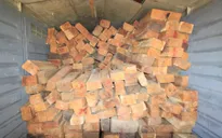 Đắk Lắk: Bắt hàng chục khối gỗ quý không rõ nguồn gốc