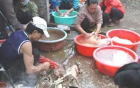 Hà Nội: Kiểm tra kinh doanh, giết mổ gia súc, gia cầm cận Tết