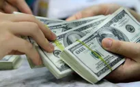 Lãi suất gửi USD còn 0%, thị trường ngoại tệ có sự bình ổn tốt hơn