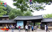 Đến Gyeonggi trải nghiệm văn hóa truyền thống Hàn Quốc