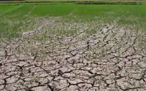 Bộ NN&PTNT ban hành Chỉ thị ứng phó với El Nino