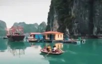 Triển khai sáng kiến Liên minh Hạ Long - Cát Bà