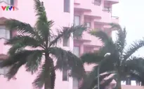 Hải Phòng: Nhiều nhà tốc mái, không có thiệt hại về người do bão số 1