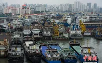 Trung Quốc ban bố báo động đỏ với bão Mujigae