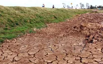 Hạn hán ở Ninh Thuận: Thủy điện không phải là nguyên nhân