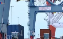 Doanh nghiệp xuất khẩu chật vật “cõng” cước phí