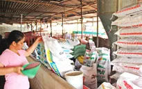 Phát hiện thức ăn chăn nuôi giả xuất xứ Trung Quốc