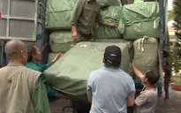 Bắt giữ hàng chục tấn hàng thẩm lậu qua biên giới