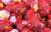 Chuyến "Hành tím nghĩa tình" đầu tiên đã được chuyển ra Bắc