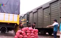 Hành tím Sóc Trăng đã lên tàu ra Bắc