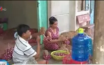 Viêm loét giác mạc - Nguyên nhân gây mù mắt của người dân vựa hàng tím Vĩnh Châu