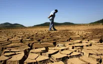 Brazil: Hạn hán nặng nề nhất trong vòng 80 năm