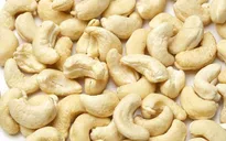 Xuất khẩu hạt điều duy trì đà tăng trưởng