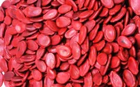 Thận trọng khi lựa chọn hạt dưa, bánh chưng Tết