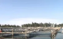 Hà Tĩnh: Tạo đột phá tăng trưởng kinh tế