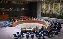 Hội đồng Bảo an LHQ thông qua nghị quyết về thỏa thuận hòa bình ở Ukraine