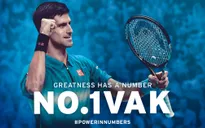 Hành trình lên đỉnh thế giới của Novak Djokovic sau 5 năm ‘yếu đuối’