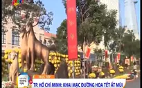 TP.HCM khai mạc đường hoa Tết Ất Mùi