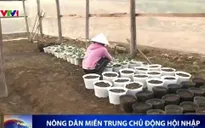 Nông dân miền Trung chủ động hội nhập
