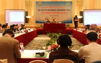 Xuất khẩu lâm nghiệp tăng trưởng kỷ lục
