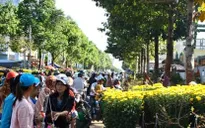 Đăk Lăk: Thị trường hoa, cây cảnh bắt đầu nhộn nhịp
